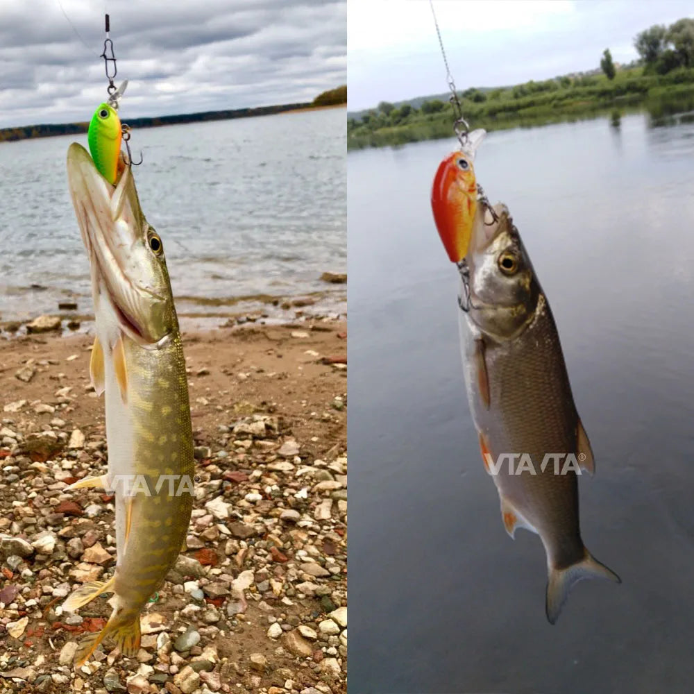 5Pcs Mini Fishing Lures Crankbait Pike Trout Baits with Tackle Box