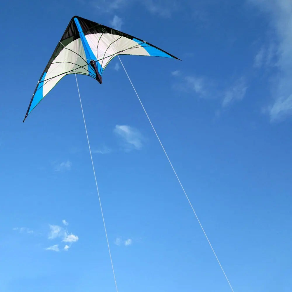 48 Inch Professional Dual Line Kite with Handle for Strong Winds Flying