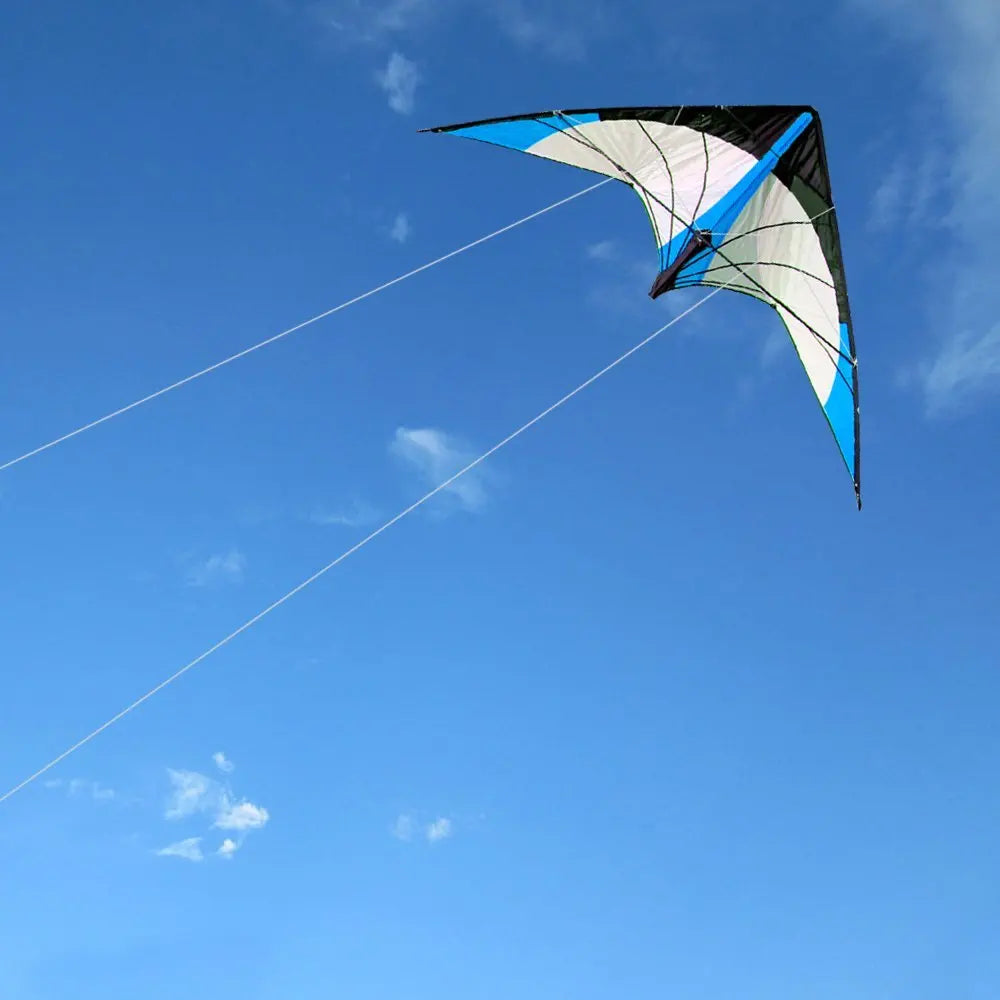 48 Inch Professional Dual Line Kite with Handle for Strong Winds Flying