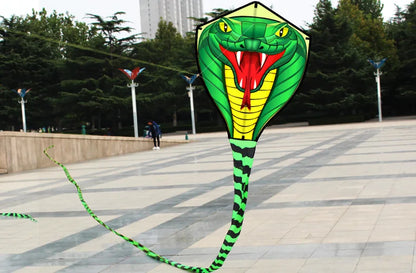 Long Colorful Tail Snake Kite 8m Huge Beginner Kite for Adults