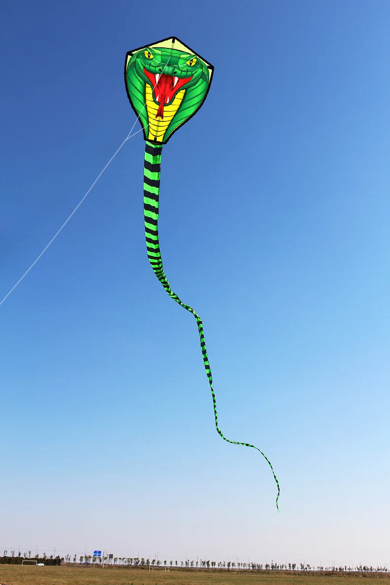 Long Colorful Tail Snake Kite 8m Huge Beginner Kite for Adults