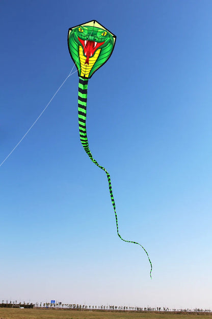 Long Colorful Tail Snake Kite 8m Huge Beginner Kite for Adults