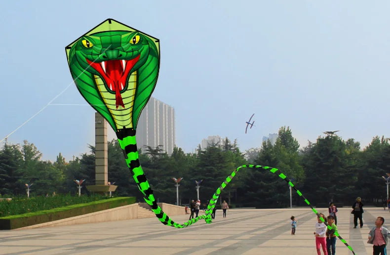 Long Colorful Tail Snake Kite 8m Huge Beginner Kite for Adults