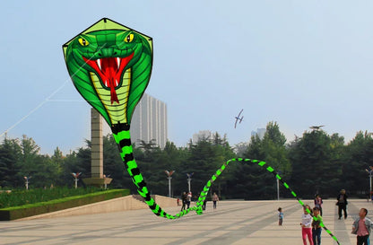 Long Colorful Tail Snake Kite 8m Huge Beginner Kite for Adults