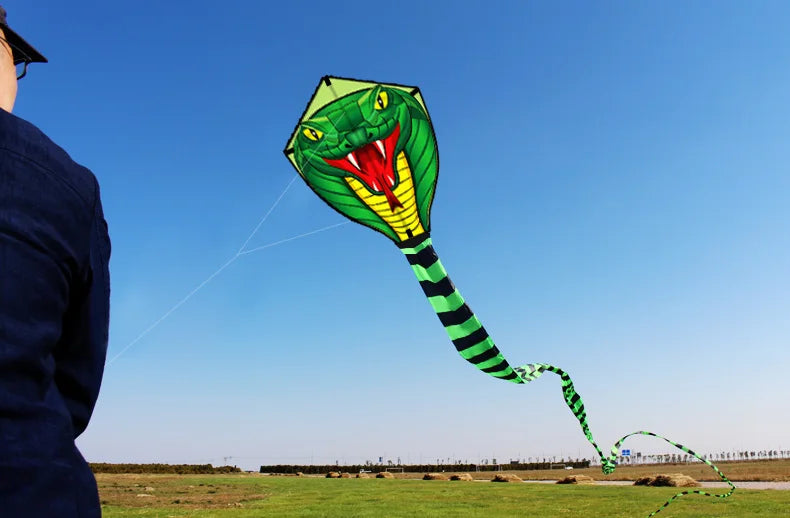 Long Colorful Tail Snake Kite 8m Huge Beginner Kite for Adults