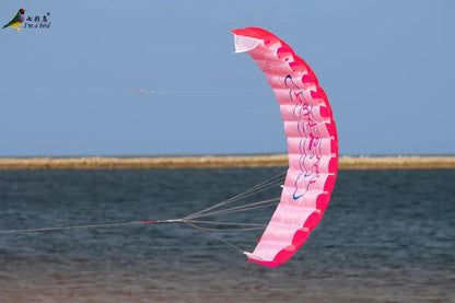 Outdoor Dual Line Stunt Parafoil Kite Rainbow Power Parachute Beach Sports Toy