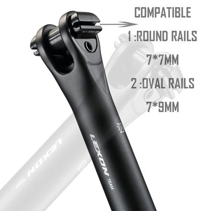 LEXON Carbon Seatpost 27.2/31.6mm 400mm Ultralight MTB Road Bike