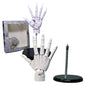 Articulated Hand Model for Drawing, Sketch Artist Painting Sculpture Finger Joint Figurine Figma Doll House Decor