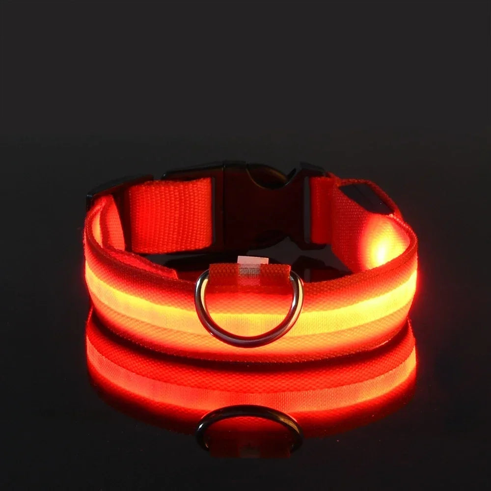Dog Collar Nylon LED Glow Night Safety Leash Luminous Flashing Pet Accessories