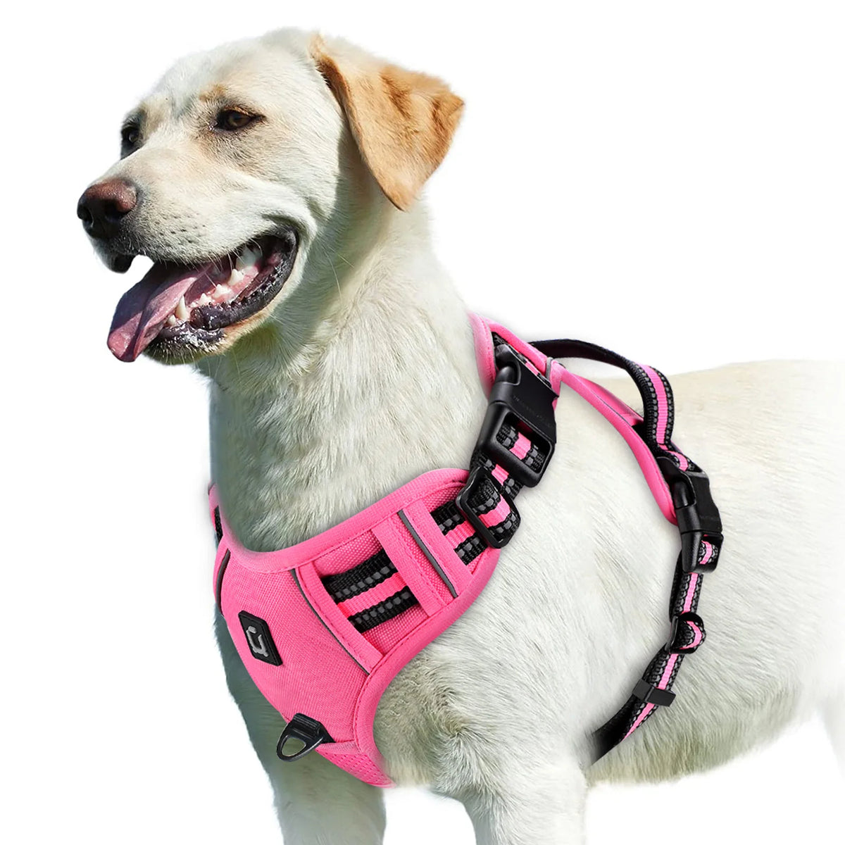 Adjustable Soft Padded Dog Harness with Handle No Pull Pet Vest