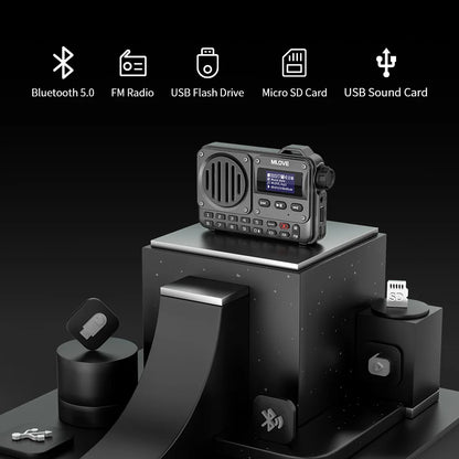 MLOVE BV800 Super-Portable Bluetooth Speaker with FM Radio,LCD Screen Display, Antenna, AUX Input, USB Disk, TF Card, MP3 Player-EXPROTAS