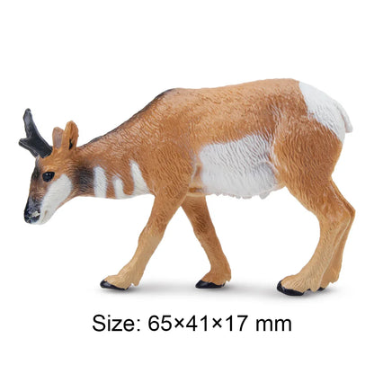 Toymany Simulation Cougar Wildlife Animal Model Mini Figures Figurines