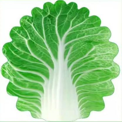 Double Sided Flannel Cabbage Soft Throw Blanket for Home Sofa Decor