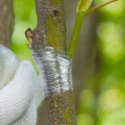 800M PE Grafting Tape Self-Adhesive for Fruit Tree Nursery Plants