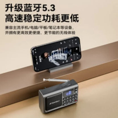 Wireless Bluetooth Speaker Portable Digital Music Player FM Radio
