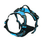 For Dogs Leather Collars Harness Vests Leash Puppy Accessories