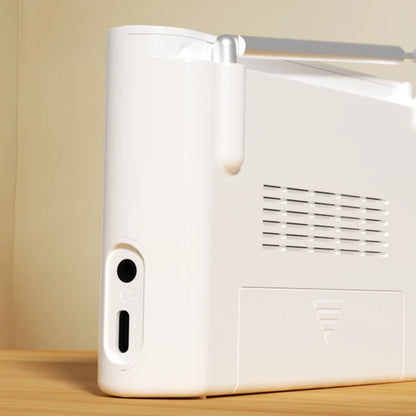 Portable Rechargeable Digital FM Port Device Speaker USB Handheld