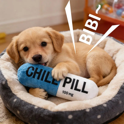 Pet Pill Indestructible Plush Dog Chew Toy with Squeaker for Play