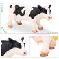 Big Size Soft Rubber Animal Action Figures for Children Educational Collection