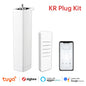 Tuya Smart Curtain Motor WiFi Zigbee RF Remote Alexa Google App Control - EXPROTAS