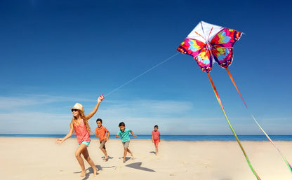 Butterfly Kite for Kids & Adults - Easy to Fly with String - Outdoor Fun