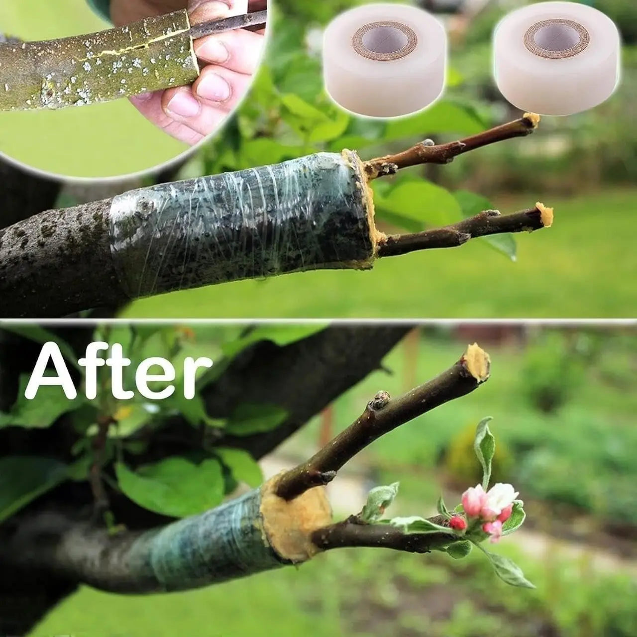 Biodegradable Grafting Tape Plant Bind Belt Eco-friendly Gardening Membrane