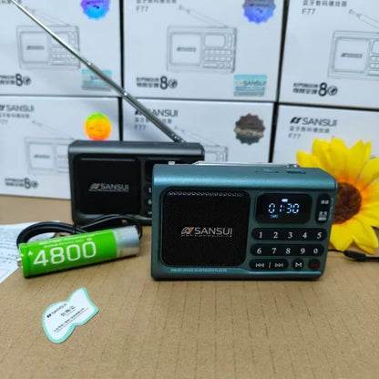 Wireless Bluetooth Speaker Portable Digital Music Player FM Radio