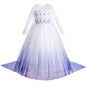 Disney Kids Frozen Birthday Party Princess Dress White Elsa Sequined Mesh Vestidos Halloween Cosplay Snow Queen Carnival Costume-EXPROTAS