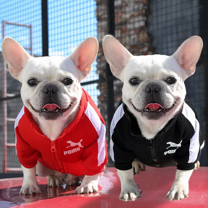 Baseball Dog Jacket for Small Medium Pets Winter Coat Clothing Outfit