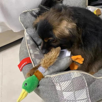 Plush Duck Squeaky Dog Toy for Pets - Chew Sound Plaything for Puppy