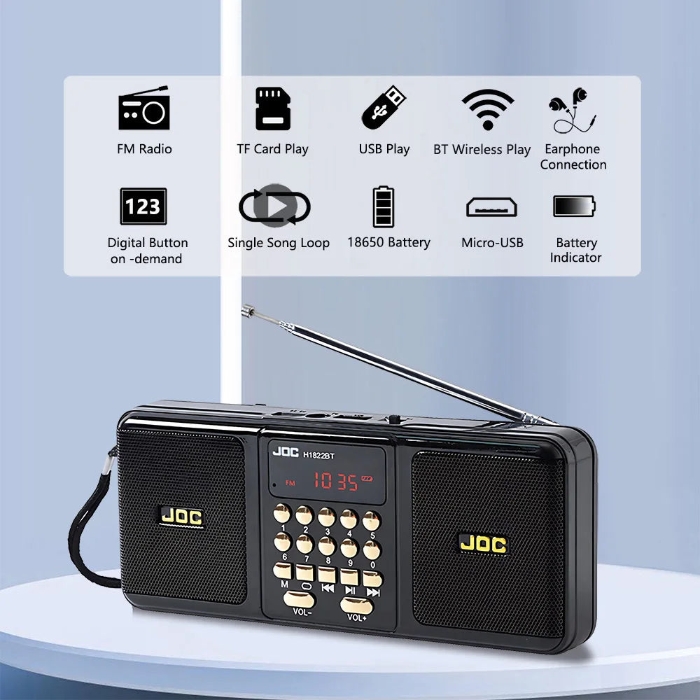 Portable FM Radio Speaker Bluetooth MP3 Player USB Rechargeable Digital