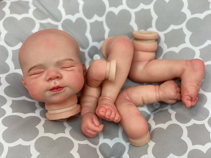 48cm Reborn Baby Doll Kit Pascale 3D Painted Skin Visible Veins Soft Touch