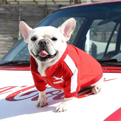 Baseball Dog Jacket for Small Medium Pets Winter Coat Clothing Outfit