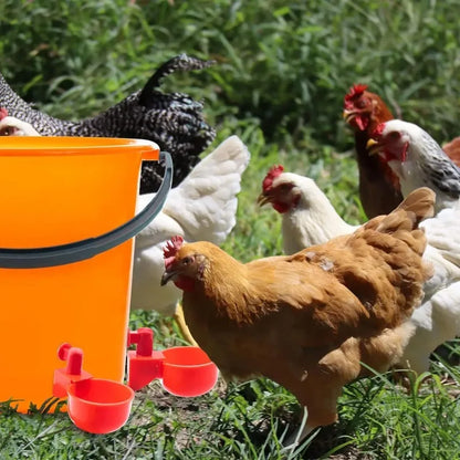 20Pcs Chicken Drinking Bowl Automatic Water Dispenser Poultry Feeder Drinker