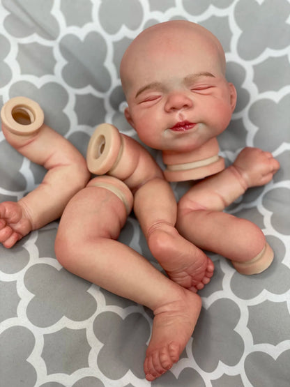 48cm Reborn Baby Doll Kit Pascale 3D Painted Skin Visible Veins Soft Touch