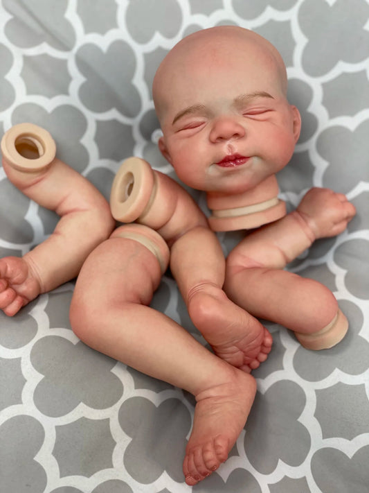 48cm Reborn Baby Doll Kit Pascale 3D Painted Skin Visible Veins Soft Touch