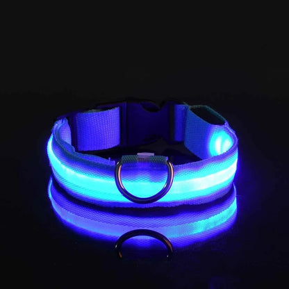 Dog Collar Nylon LED Glow Night Safety Leash Luminous Flashing Pet Accessories