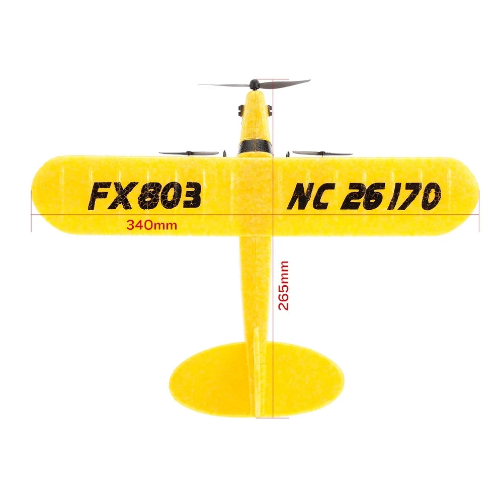 FX803 2.4G 2CH RC Plane EPP Foam Remote Control Outdoor Glider Aircraft