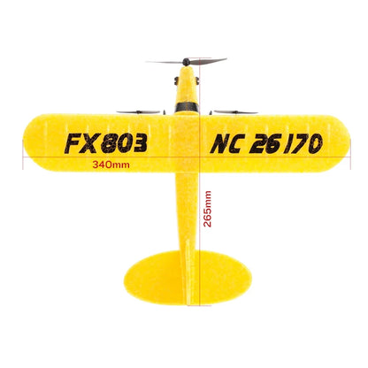 FX803 2.4G 2CH RC Plane EPP Foam Remote Control Outdoor Glider Aircraft