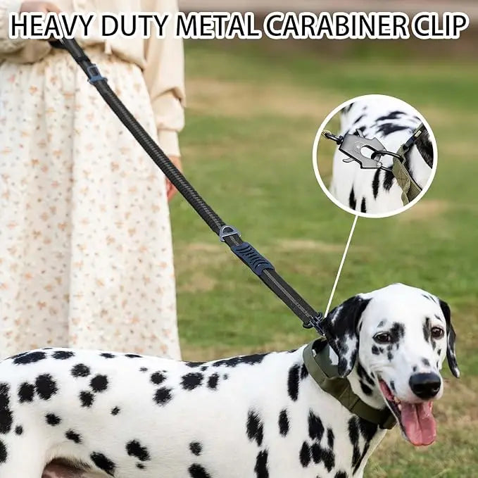 Heavy Duty Reflective Bungee Dog Leash with Car Seatbelt for Large Dogs