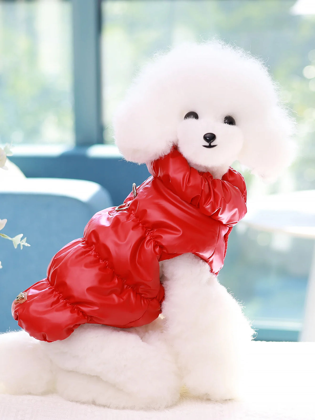 Dog Jacket Waterproof Warm Coat for Small Medium Dogs Autumn Winter