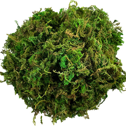 Artificial Moss Green for Potted Plants Orchid Potting Mix Craft