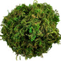 Artificial Moss Green for Potted Plants Orchid Potting Mix Craft