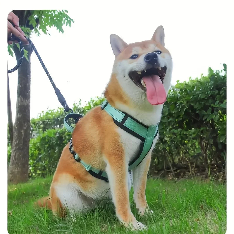 Adjustable Harness Litter Bag for Medium Large Dogs with Anti-Lost Bells