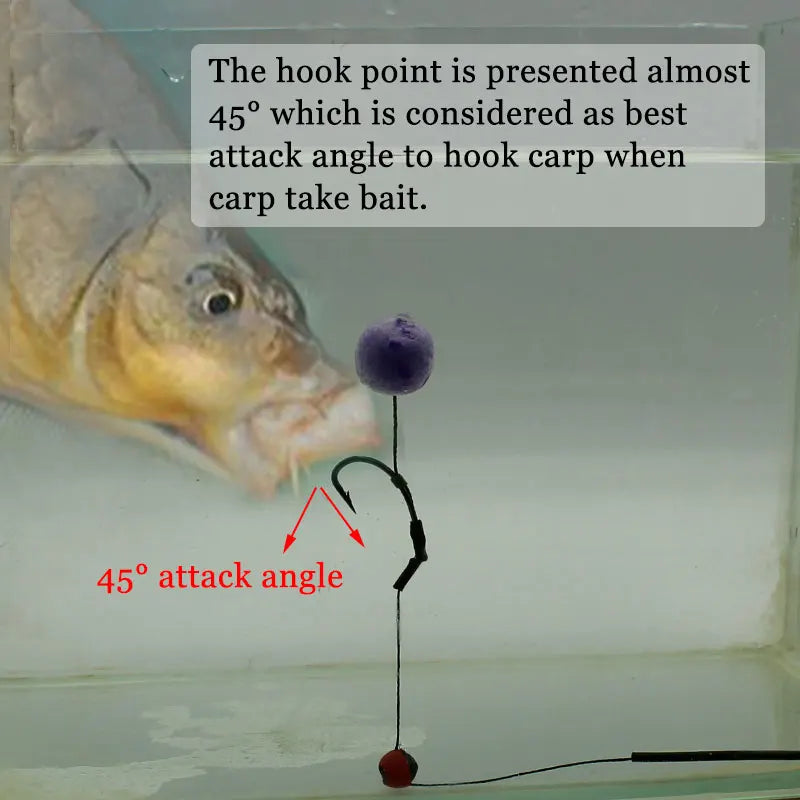 6pcs Carp Fishing Ready Tied Hair Rigs Hook Lines Size 2# 4# 6# 8# Tackle Set