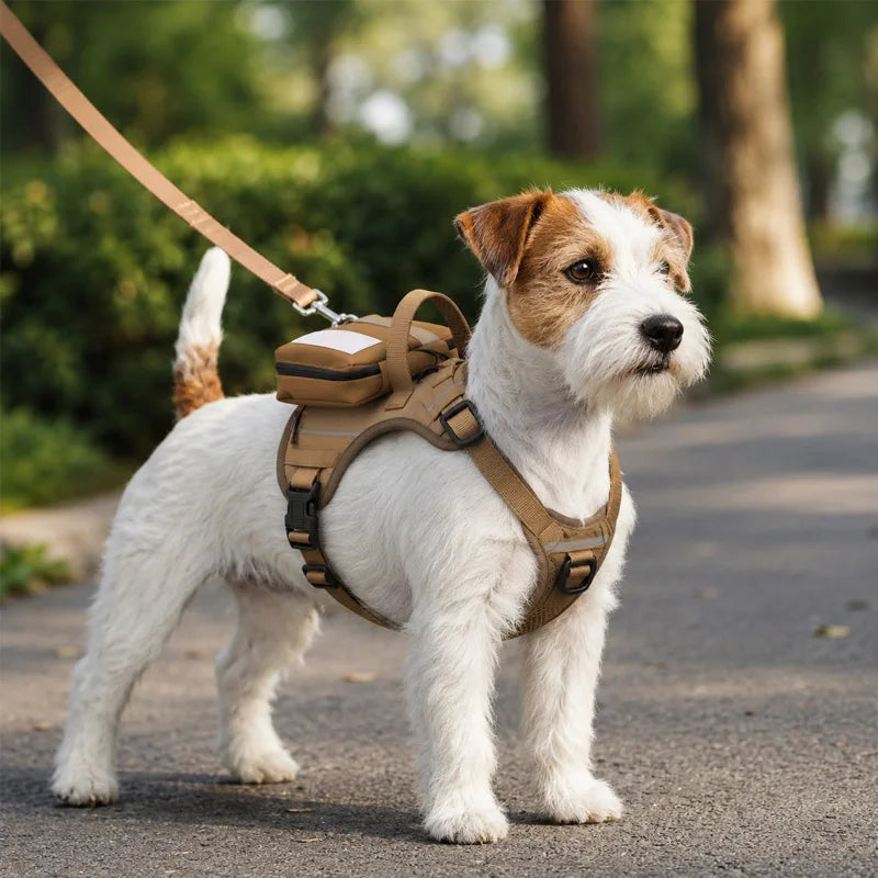 Adjustable Training Dog Outdoor Vest with Backpack & Elastic Leash