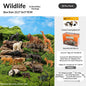 Realistic Animal Figure Toy Early Education Set - Baby Plant Recognition Kit Lion Tiger Elephant Panda Giraffe Animal Figure Toy