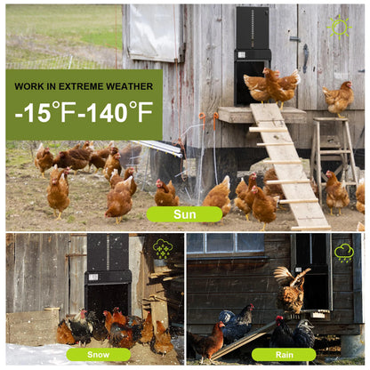 Auto Chicken Coop Door | Timer-Operated Cage Opener with Anti-Pinch Safety