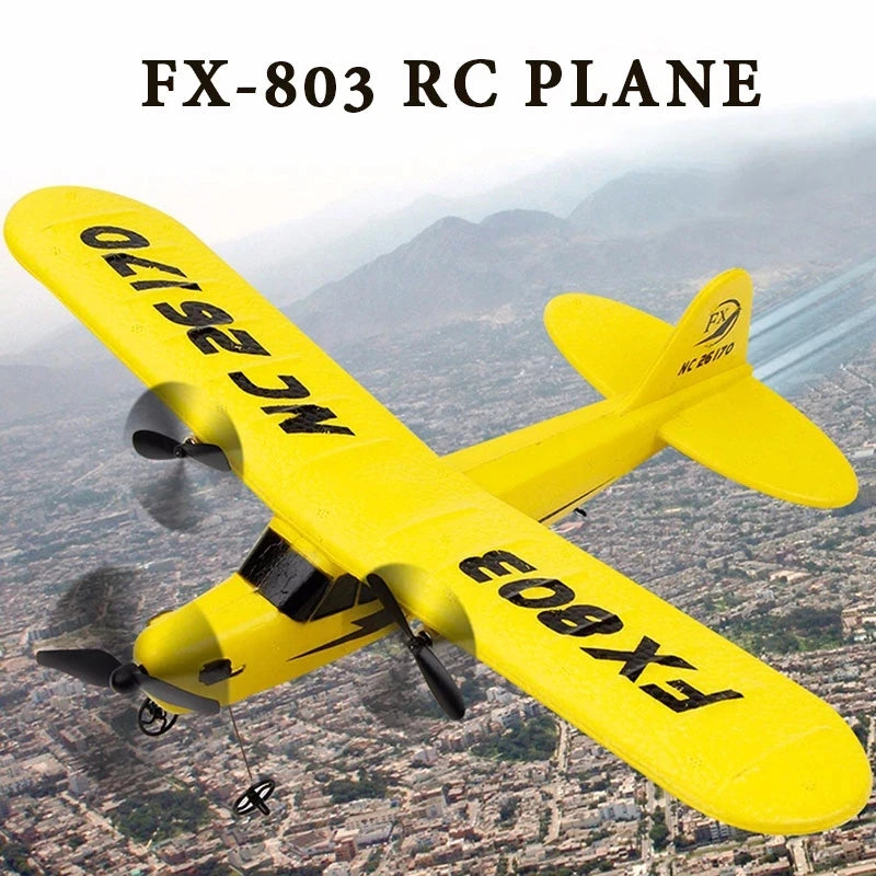 FX803 2.4G 2CH RC Plane EPP Foam Remote Control Outdoor Glider Aircraft