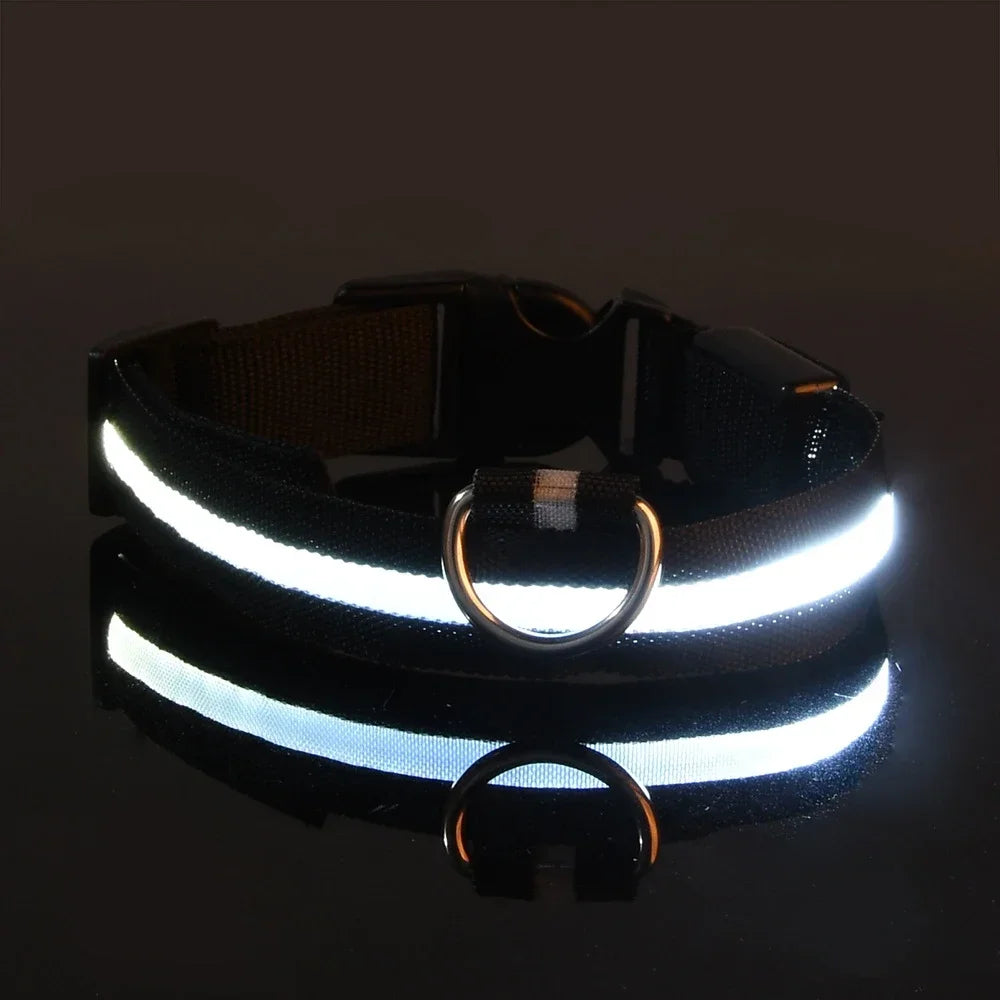 Dog Collar Nylon LED Glow Night Safety Leash Luminous Flashing Pet Accessories